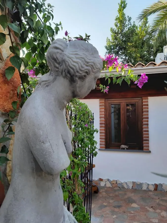 Domus Petrarca Guesthouse Serramanna Apartment
