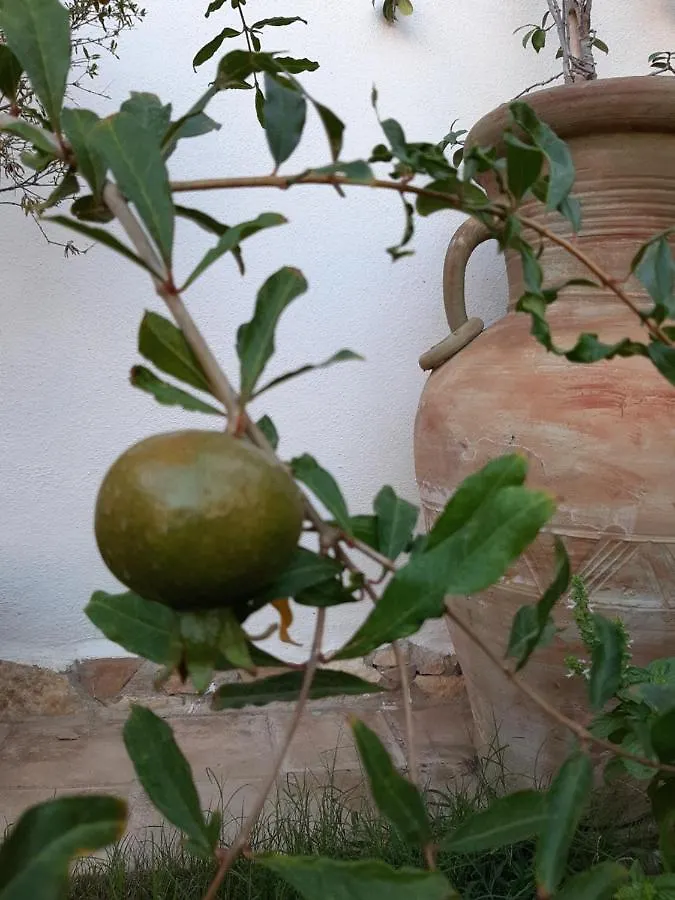 Domus Petrarca Guesthouse Serramanna Apartment